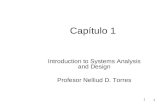 1 1 Capítulo 1 Introduction to Systems Analysis and Design Profesor Nelliud D. Torres.