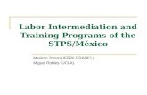 Labor Intermediation and Training Programs of the STPS/México Maximo Torero (IFPRI/ GRADE) y Miguel Robles (UCLA)