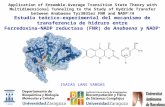Estudio teórico-experimental del mecanismo de transferencia de hidruro entre Ferredoxina-NADP reductasa (FNR) de Anabaena y NADP + ISAIAS LANS VARGAS Application.