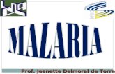 Prof. Jeanette Delmoral de Torrealba. MALARIA La Malaria o Paludismo se atribuía a aires malsanos de pantanos, de donde se origina MALARIA (mal aire)