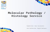 Molecular Pathology / Histology Service Supervisor: Nuno Vasconcelos Lab technician: Begoña Dominguez.