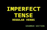 IMPERFECT TENSE REGULAR VERBS GRAMMAR SECTION. WHAT IS THE IMPERFECT TENSE? Repeated action in the past Habitual action in the past.