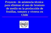 Proyecto de asistencia técnica para eliminar el uso de bromuro de metilo en la producción de frutillas, tomates y viveros en Chile.
