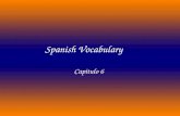 Spanish Vocabulary Capitulo 6. El apartado postal.