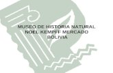 MUSEO DE HISTORIA NATURAL NOEL KEMPFF MERCADO BOLIVIA.