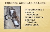 INTEGRANTES : AMELIA MORALES. FELIPE CRUZ V. BRENDA GRACIA. JAIME LIRA.