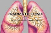 TRAUMA DE TORAX Autor. Dra. Ruth Sarantes (MI). Pared torácica Músculos Pleura - Parietal - Visceral Pulmones Tráquea Mediastino - Anterior - Medio -