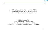 1 Value Based Management (VBM) Gestión Basada en el Valor (GBV) Capital intelectual Valor Intelectual Añadido – IVA Ceferí SOLER – José Maria ALVAREZ DE.