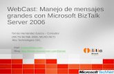 WebCast: Manejo de mensajes grandes con Microsoft BizTalk Server 2006 Tomás Hernández García – Consultor ilitia Technologies SRL (MCTS BizTalk 2006, MCAD.NET)