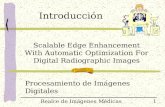 Realce de Imágenes Médicas Procesamiento de Imágenes Digitales Scalable Edge Enhancement With Automatic Optimization For Digital Radiographic Images 1.