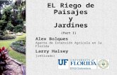 EL Riego de Paisajes y Jardines (Part I) Alex Bolques Agente de Extensión Agricola en la Florida Larry Halsey (retirado)