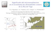 Significado del microzooplancton en el ecosistema de afloramiento costero de la Ría de Vigo F.G. Figueiras 1, I.G. Teixeira 1, B.G. Crespo 1,2, S. Piedracoba.