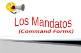 (Command Forms). 1) Informal (Tú Form) Commands - Informal / Telling somebody to do or not to do something -This is the most common type of command 2)
