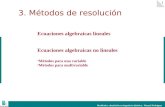 Modelado y simulación en Ingeniería Química. Manuel Rodríguez 1 Ecuaciones algebraicas lineales Ecuaciones algebraicas no lineales Métodos para una variable.