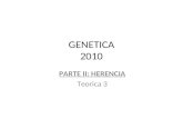 GENETICA 2010 PARTE II: HERENCIA Teorica 3. Tamano del genoma eucarionte.