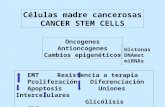 Oncogenes Antioncogenes Cambios epigenéticos Células madre cancerosas CANCER STEM CELLS EMTResistencia a terapia ProliferaciónDiferenciación Apoptosis.