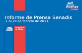 Informe de Prensa Senadis 1 al 28 de febrero de 2013.