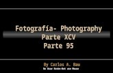 Fotografía- Photography Parte XCV Parte 95 No Usar Ratón-Not use Mouse By Carlos A. Bau.