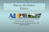 Bases de Datos: Ebsco American University of Puerto Rico Sistema de Bibliotecas Programa de Alfabetización de Información.