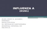 INFLUENZA A (H1N1) R1MI CINDY D. ALVAREZ ESPARZA INFECTOLOGIA Dr. REYNALDO SANTAMARIA HOSPITAL GENERAL DE PACHUCA.
