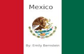 Mexico By: Emily Bernstein. Information de Mexico Populacion:120.800.000 Capital:Ciudad de Mexico Presidente:Enrique Pena Nieto( Mi chico) Nacimiento: