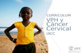 UICC HPV and Cervical Cancer Curriculum Chapter 6.b. Methods of treatment - LEEP R. Sankaranarayanan MD; C. Santos MD CURRICULUM VPH y Cáncer Cervical.