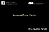 Ateneo Finochietto Dra. Agustina Agnetti. Fem – 94 a Dolor cólico en hemiabdomen superior Nauseas y vómitos biliosos Constipación Afebril Atc qx ginecocológica.