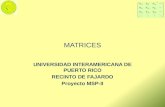 MATRICES UNIVERSIDAD INTERAMERICANA DE PUERTO RICO RECINTO DE FAJARDO Proyecto MSP-II.