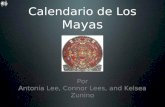 Calendario de Los Mayas Por Antonia Lee, Connor Lees, and Kelsea Zunino.