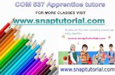 COM 537 Apprentice tutors/snaptutorial