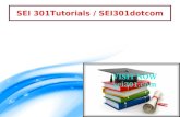 SEI 301 professional tutor / SEI 301dotcom
