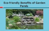 4 Eco-friendly Benefits of Garden Ponds