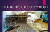 Headaches caused by mold