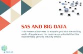 SAS and Big Data- The Big New Possibility