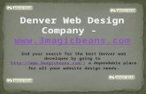 Denver Web Design Company -