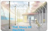 ThE Story Of Hachiko