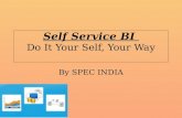 Self Service BI - Do It Yourself Your Way