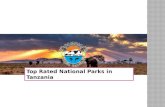 Top Rated National Parks in Tanzania