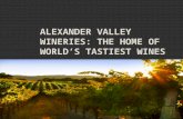 Alexander Valley Wineries The home of world’s tastiest wines