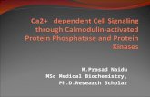 CALCIUM DEPENDENT CELL SIGNALLIN