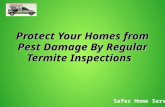 Protect Your Homes From Pest Damage by Regular Termite Inspe