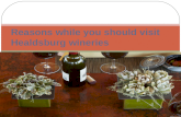 Reasons while you should visit Healdsburg wineries