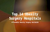 Top 14 Obesity Surgery Hospitals