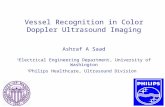 Vessel Recognition in Color Doppler Ultrasound Imaging