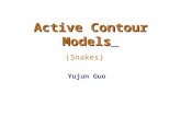 Active Contour Models