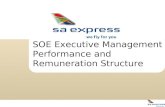 SOE Executive Management  Performance and  Remuneration Structure