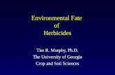 Environmental Fate  of  Herbicides