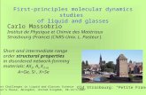 First-principles molecular dynamics studies  of liquid and glasses