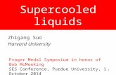 Supercooled liquids