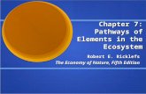 Chapter 7: Pathways of Elements in the Ecosystem